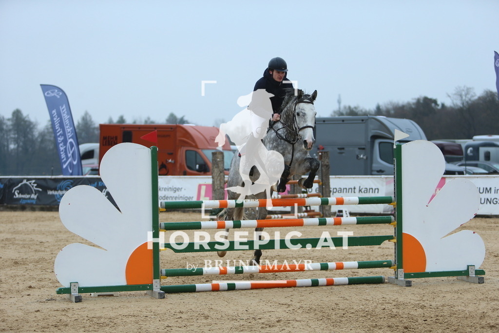 DL2Q6955 | Willkommen bei Brunnmayr - Design & Fotografie – Ihrem Spezialisten für Reitturniere und Pferdeveranstaltungen in Oberösterreich, Salzburg und Bayern! Seit über 17 Jahren sind wir leidenschaftlich dabei.