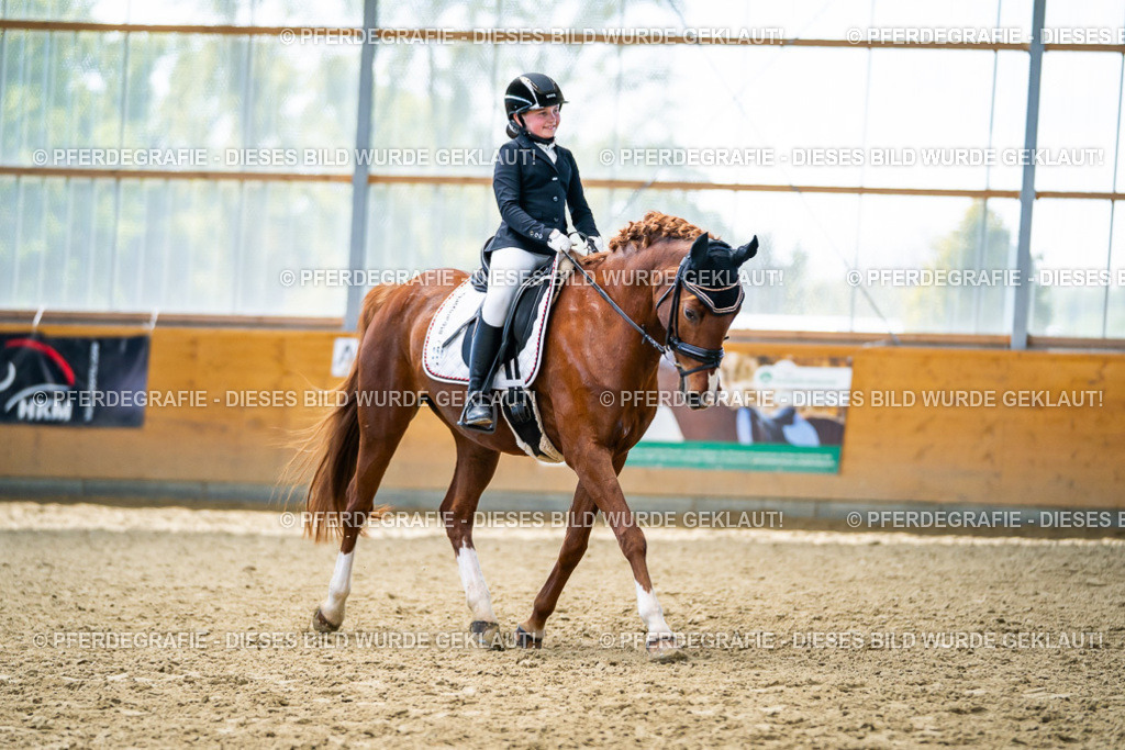 DSC05231 | Pferdegrafie