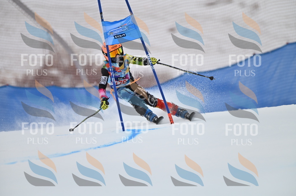 BGV_0974 | holidayphoto