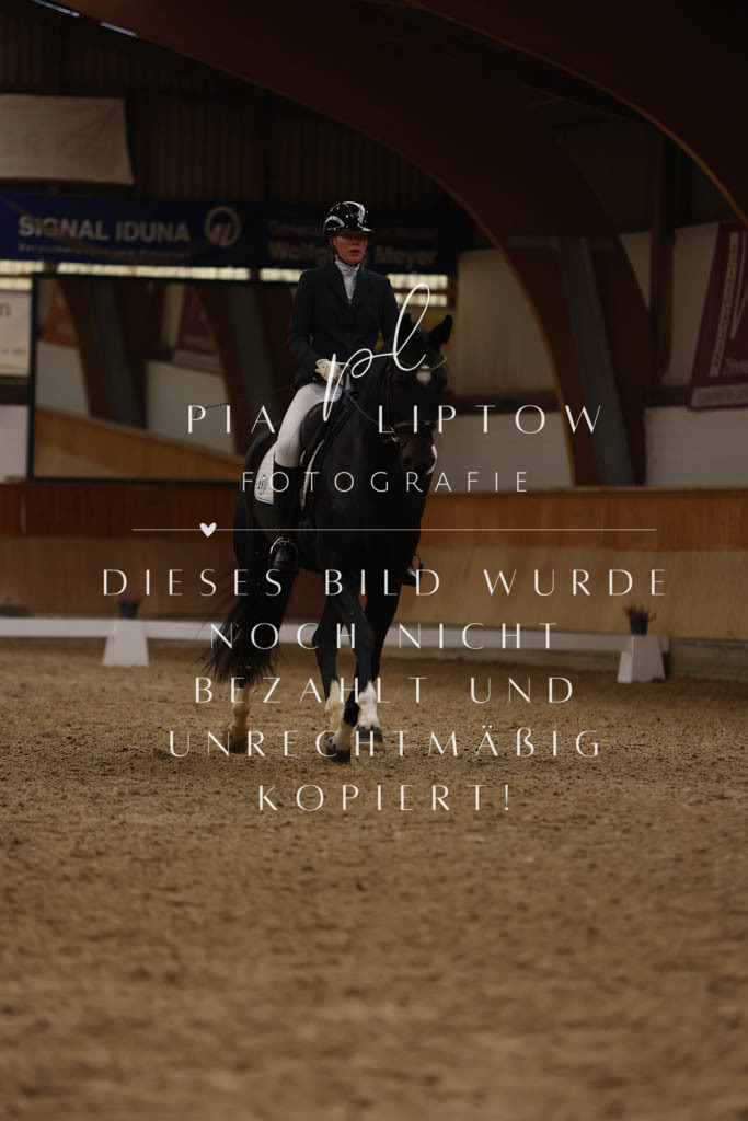 IMGM6629 | pl-fotografie