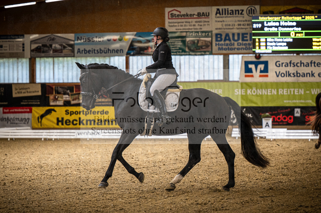 DOS_2394 | Entdecke hochwertige Reitturnierfotos von Foto Oger. Professionell, emotional und authentisch – jetzt Lieblingsmomente im Shop bestellen.Deutschlandweite Turnierfotografie. - Realisiert mit Pictrs.com