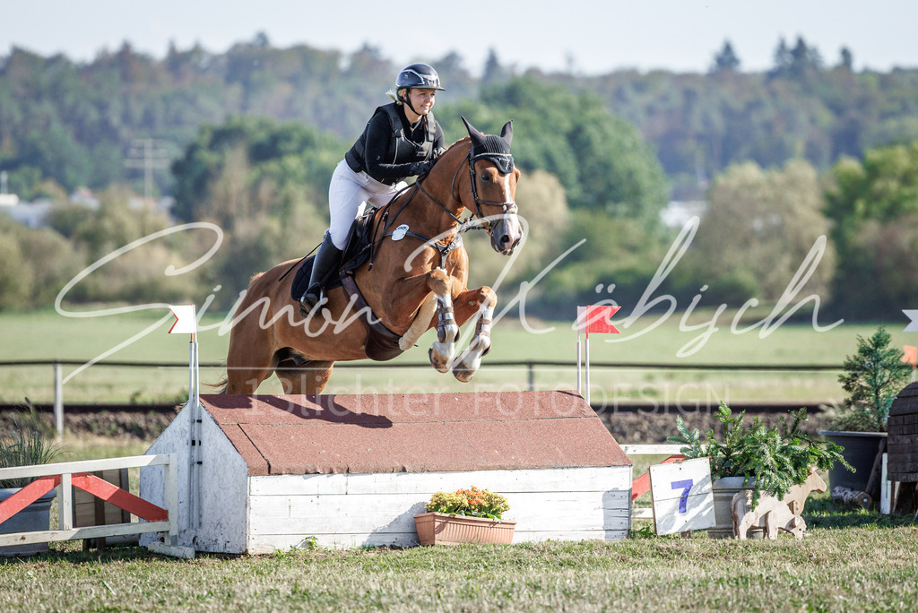 20260905-_3LI0369 | Tierfotografie Pferde, Hunde, Katzen, Haustiere.
Turnierfotografie Reitturniere, Reiten, Springreiten, Dressur in Hanau, dem Main-Kinzig-Kreis und dem Rhein-Main- Gebiet um Frankfurt