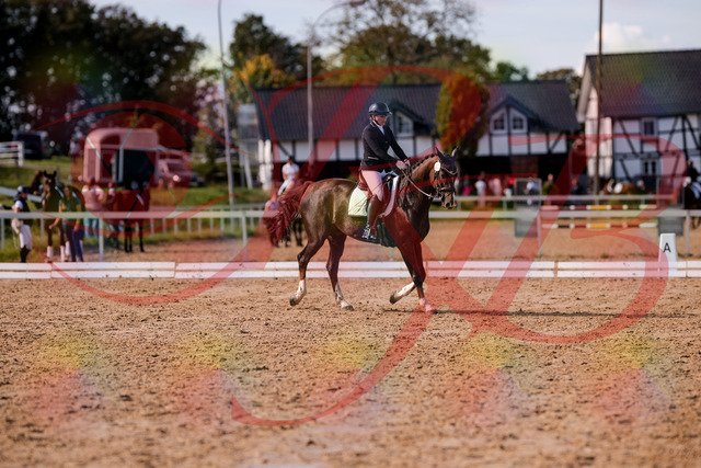 2026_10_03_Siefer-Hof_132514_Z81_74779618 | Professionelle Reitsport-, Turnier- und Eventfotografie von Robert Broda. Galerien mit ausgewählten und bearbeiteten Bildern direkt online ansehen und bestellen.
