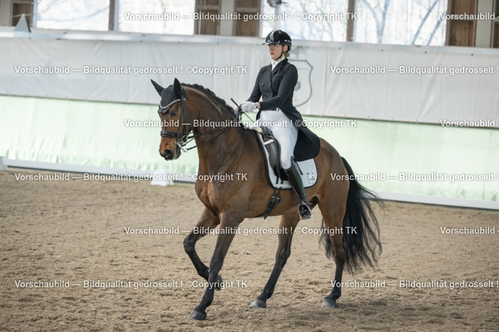 _D5A4851 | Emotionale Pferde- & People-Fotografie rund um Heidelberg, Leimen & Umgebung. Natürliche Fotos von Pferd, Mensch & Familie. Jetzt Termin sichern!