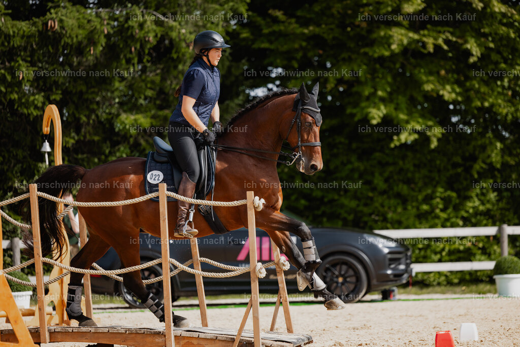 Nadine22_FHC2025-120 | working equitationturnier fotograf videograf stoibphotography marixx film working equitation deutschland reitsport turnierfotografie eventfotografie equestrian events