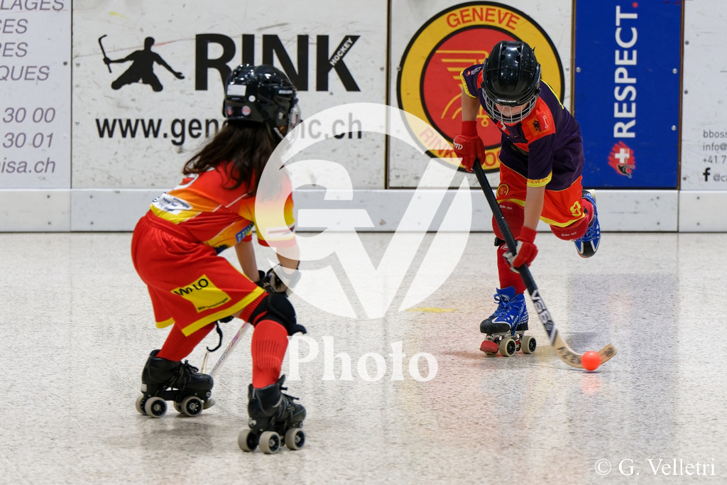 DSC_0681 | Velletri Photo