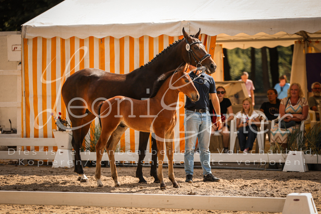 09.DoWBD00033 | Leoni Ertmer Photography - Realisiert mit Pictrs.com