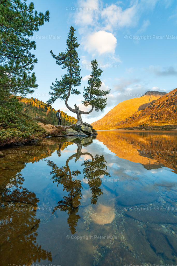 Defereggental_Herbst_Oktober_2024-379 | piet_flosse