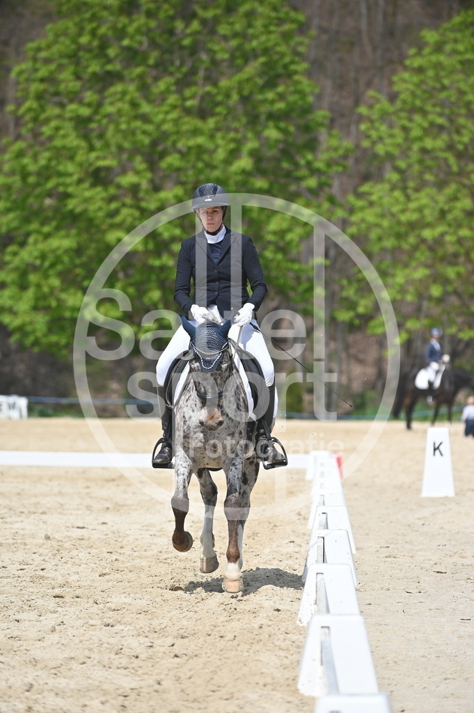 DSC_2301 | sattelsport - Realisiert mit Pictrs.com