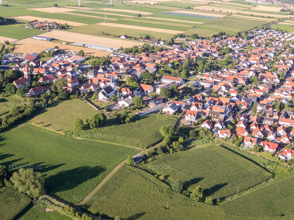 Luftbild: Im Schlossgarten in Minfeld im Bundesland Rheinland-Pfalz in Deutschland. Foto: P7130146.jpg vom 13.07.2017 durch Werner Riehm/FLY-FOTO.de