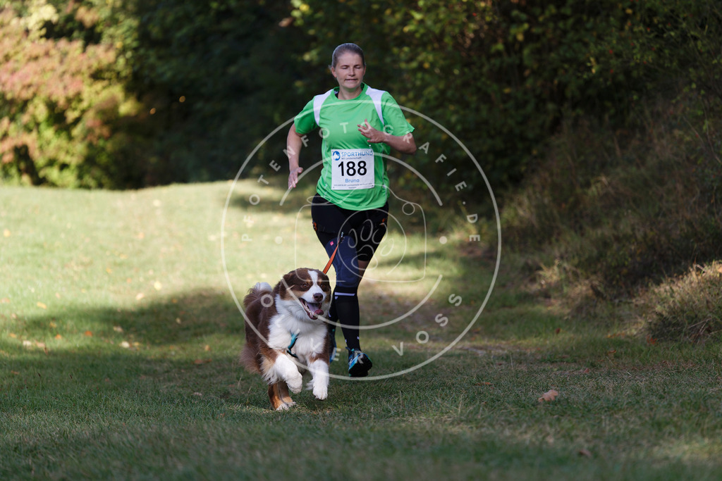 0L8A5748 | Hundefotografie, Tierfotograf, Pfotenfotografie, Fotoshooting Hund, Hunde Portrait, Hundesport, Hundeportraits, Heideshooting, Hunde, Sportfotograf, Hundefotograf, Turnierhundsport, THS,  - Realisiert mit Pictrs.com