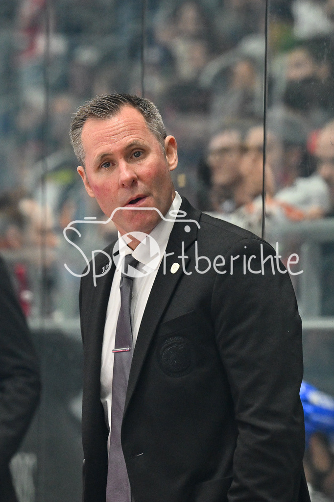 Augsburger Panther - Straubing Tigers | im Bild Ted DENT Headcoach Augsburger Panther / Freisteller / Einzelfoto / DEL: Augsburger Panther - Straubing Tigers, Curt Frenzel Stadiom am 20.10.2024