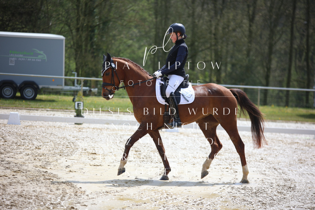 IMGT2210 | pl-fotografie