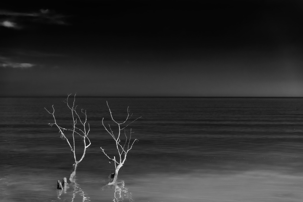 2025_04_16_TRAVEMUENDE_MCP8028 sw | Hochwertig gedruckte Fotografien für die Wand, als Kalender und zum Verschenken. Hamburg & Norddeutschland und überall wo ich mit der Kamera unterwegs war.