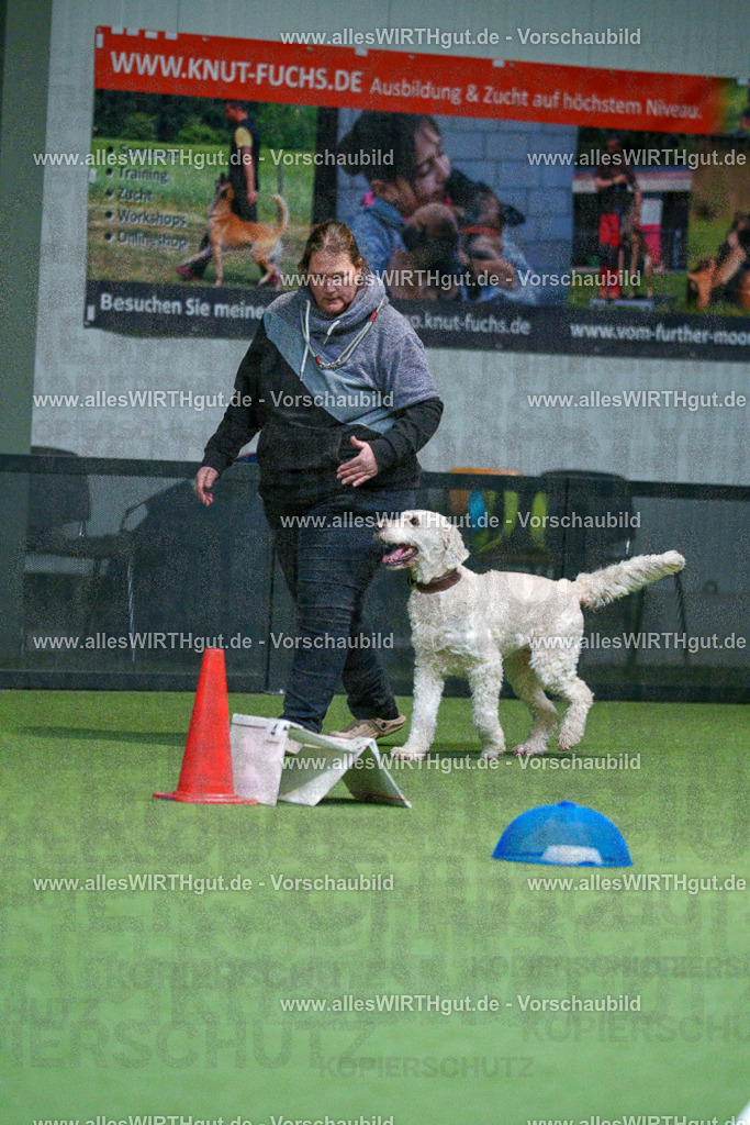 7R502783 | Professionelle Tierfotografie in Mönchengladbach von Daniel Wirth (allesWIRTHgut). Liebevolle & natürliche Bilder von Hunden & Katzen für unvergessliche Erinnerungen.