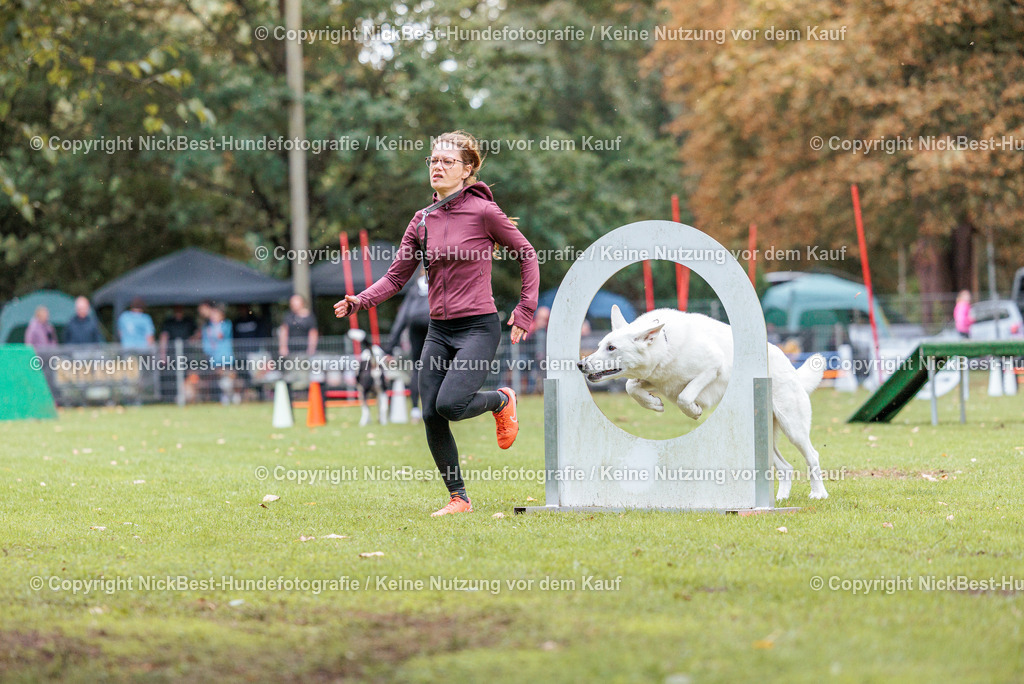 THS-HSV-Blumenthal-2026-Nickbest-Hundefotografie-4388 | Dein Hund! Dein Moment! Deine Erinnerungen! Hundefotografie in Bremen Blumenthal. Ich fange die besonderen Momente deines Vierbeiners ein – ob Indoor mit Blitzanlage oder in der freien Natur. Sicher dir dein Moment und dein Termin für eure Erinnerungen.