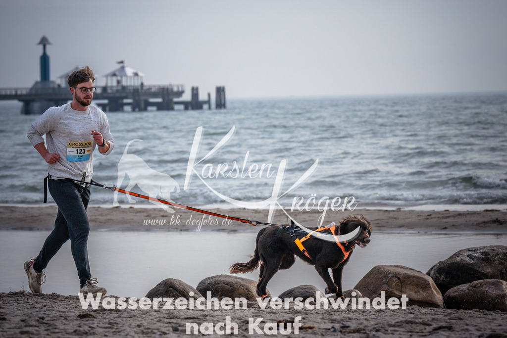 1049_ZZ96337 | kk-dogfotos