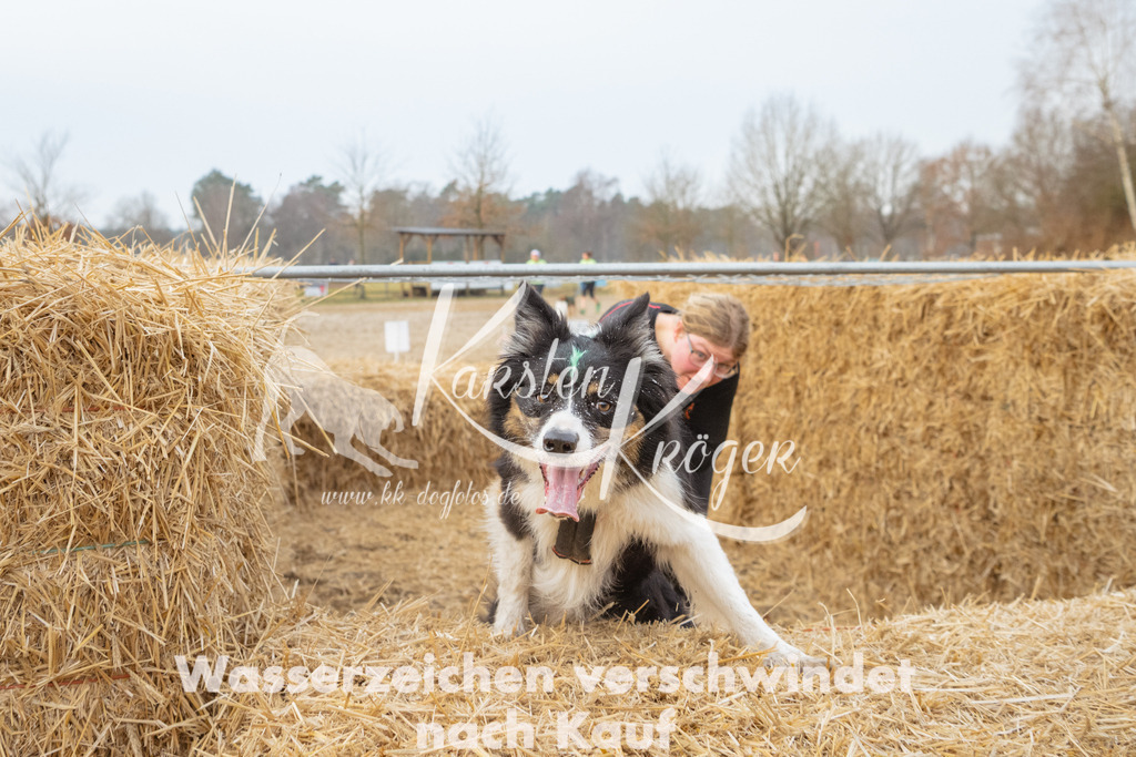 0849_ZZ94926 | kk-dogfotos