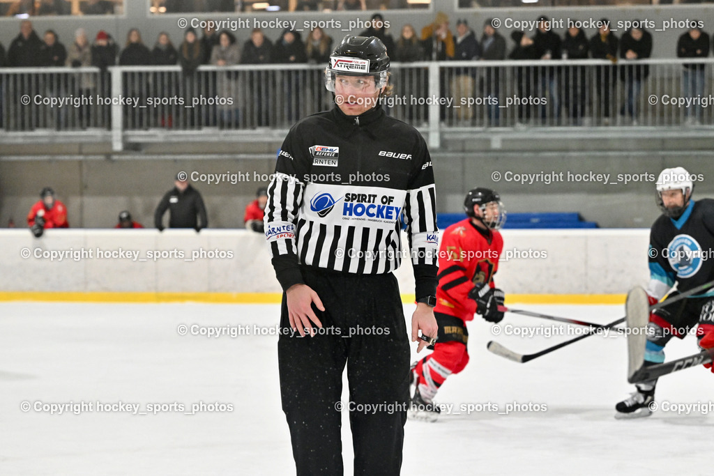 Lendhafen Seelöwen vs. Spartans Althofen | Pirsch Christoph Referee, Lendhafen Seelöwen vs. Spartans Althofen, Lendhafen Seelöwen vs. Spartans Althofen am 14.02.2025 in Ferlach (HTC Eishalle Ferlach), Austria, (Photo by Bernd Stefan)