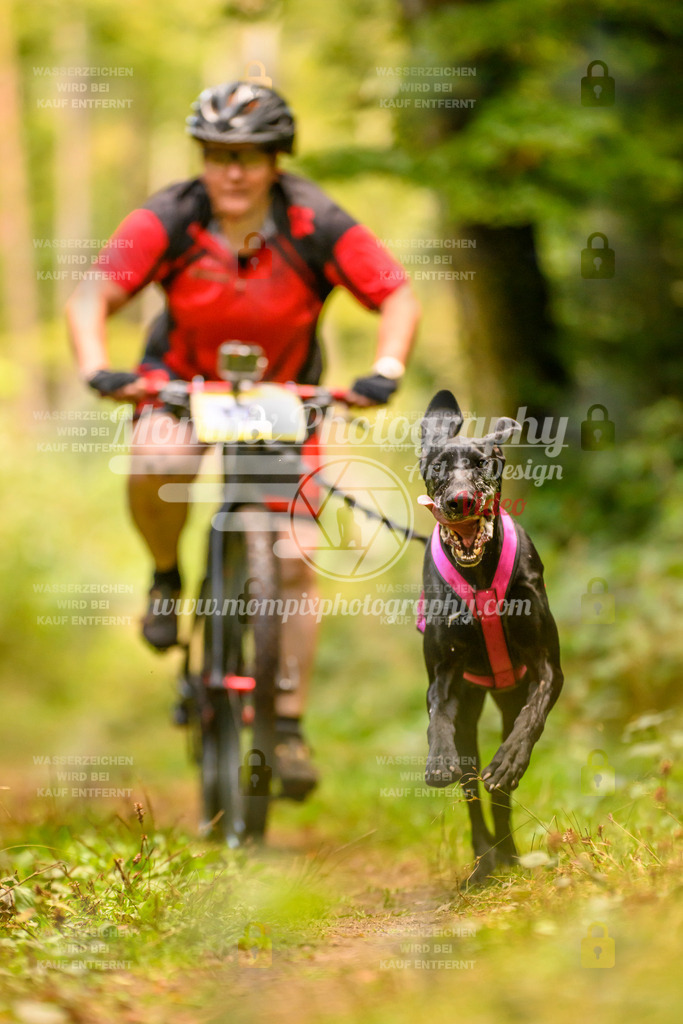 MompixPhotography_Yens2025_B2-138 | PayLife