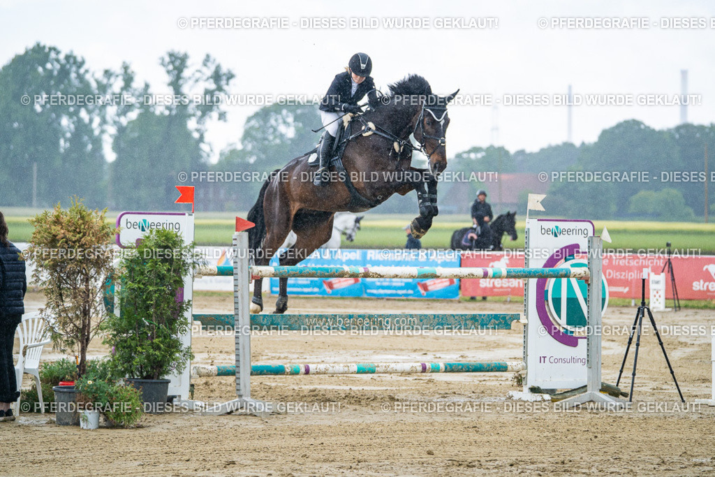 DSC04428 | Pferdegrafie