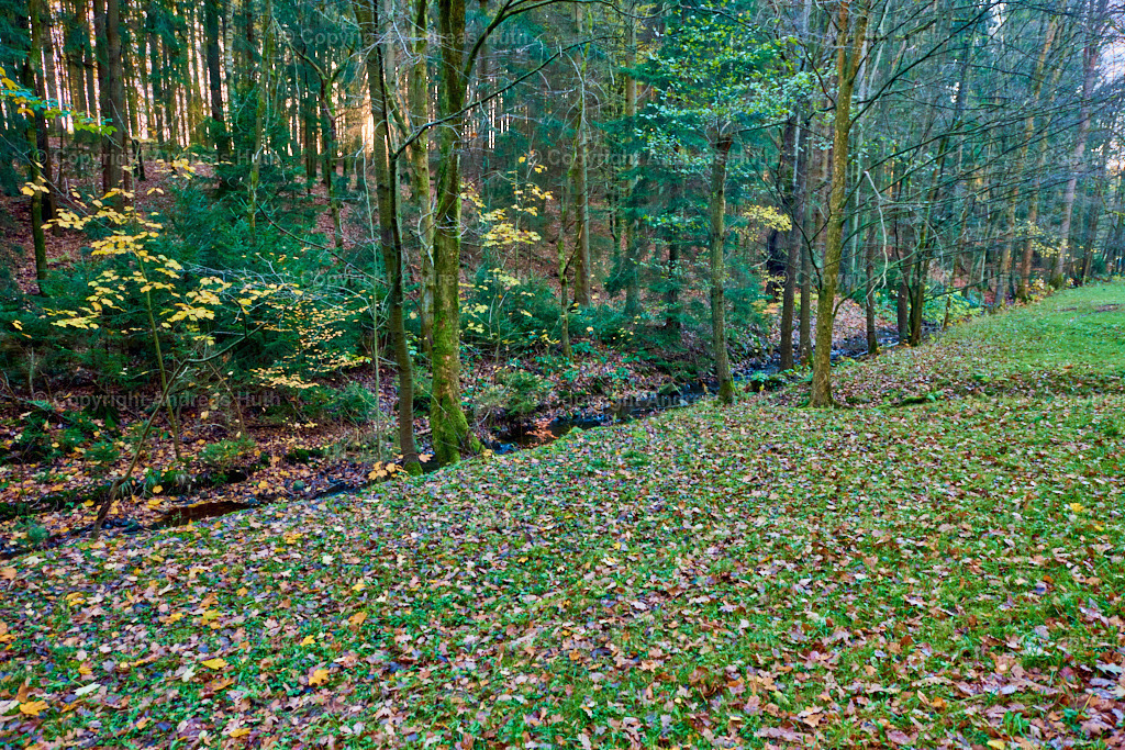 Am Seerenbach 02 | Bedeutsame Landschaften Deutschlands - Realisiert mit Pictrs.com