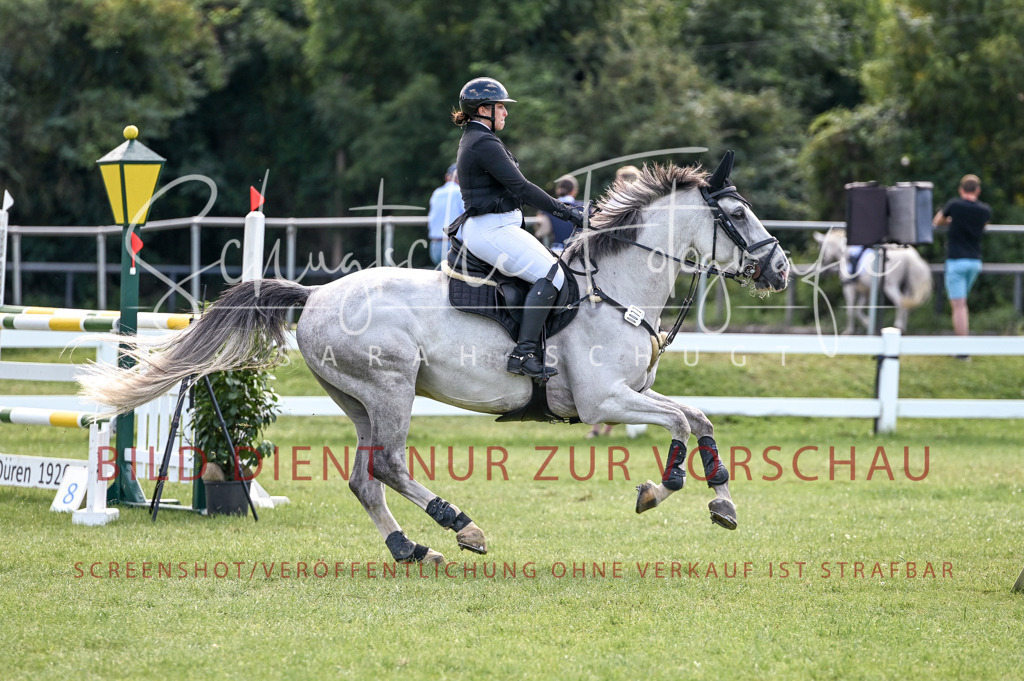 Schugtsche-Düren.2024-10.Springprf.M_-52 | Schugtsche Fotografie - Realisiert mit Pictrs.com