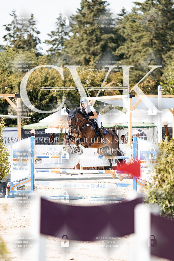 CK901644 | Turnierfotografie Pferdefotografie Trier Rheinland-Pfalz Pferdesport Reitsport Tierfotografie Sportfotografie Pferdevideo Pferdevideografie Equestrianvideography equestrianphotography  - Realisiert mit Pictrs.com