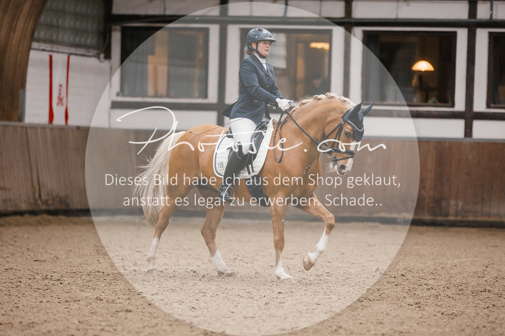 3I6A6276 | Stimmungsvolle Portraits und Reitsportfotografie im Ruhrgebiet und im Münsterland.

Pferdefotografie, Hundefotografie, Tierfotografie, Reportagen, Portraits von Tier und Mensch, Turnierfotografie in Bochum, Recklinghausen, Marl, Haltern am See, Dülmen.. - Realisiert mit Pictrs.com