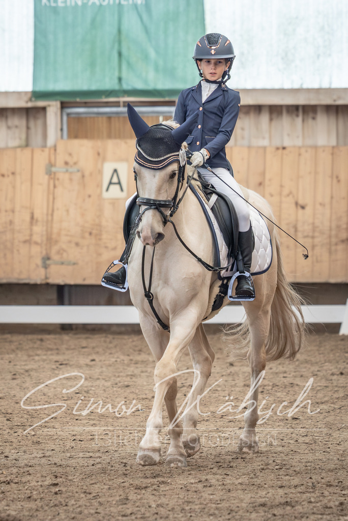 20251011-_3LI8249 | Tierfotografie Pferde, Hunde, Katzen, Haustiere.
Turnierfotografie Reitturniere, Reiten, Springreiten, Dressur in Hanau, dem Main-Kinzig-Kreis und dem Rhein-Main- Gebiet um Frankfurt
