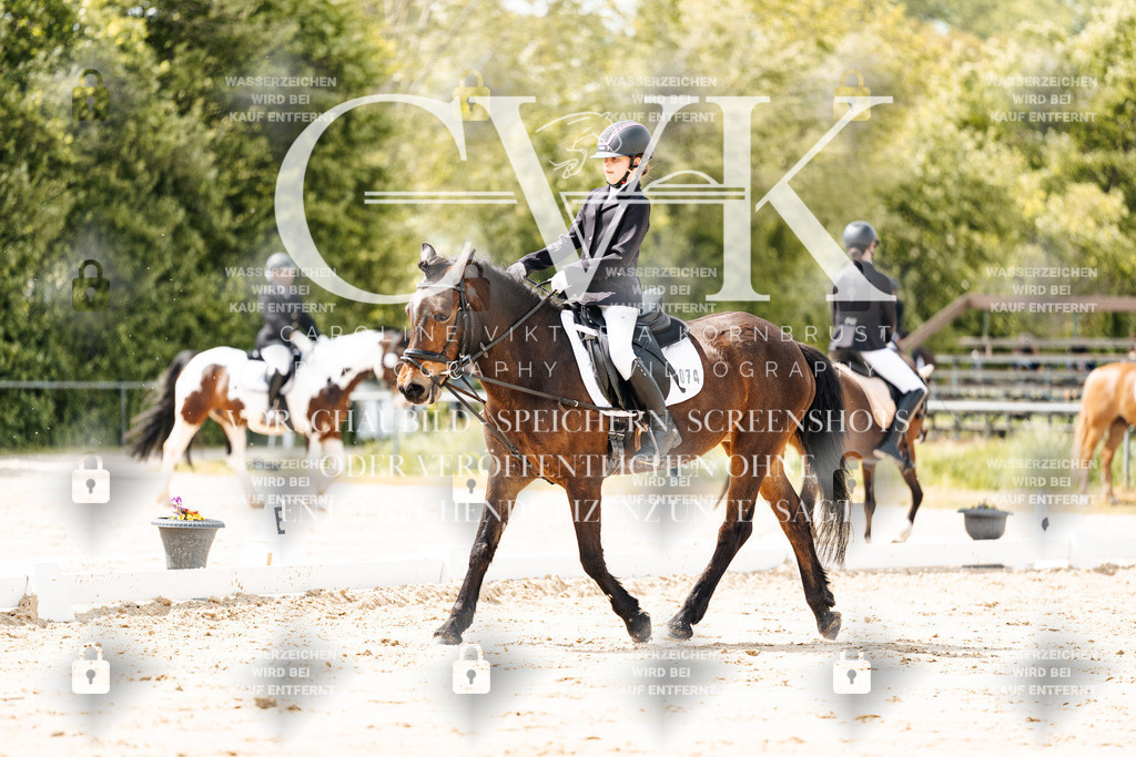 CK901804 | Turnierfotografie Pferdefotografie Trier Rheinland-Pfalz Pferdesport Reitsport Tierfotografie Sportfotografie Pferdevideo Pferdevideografie Equestrianvideography equestrianphotography  - Realisiert mit Pictrs.com
