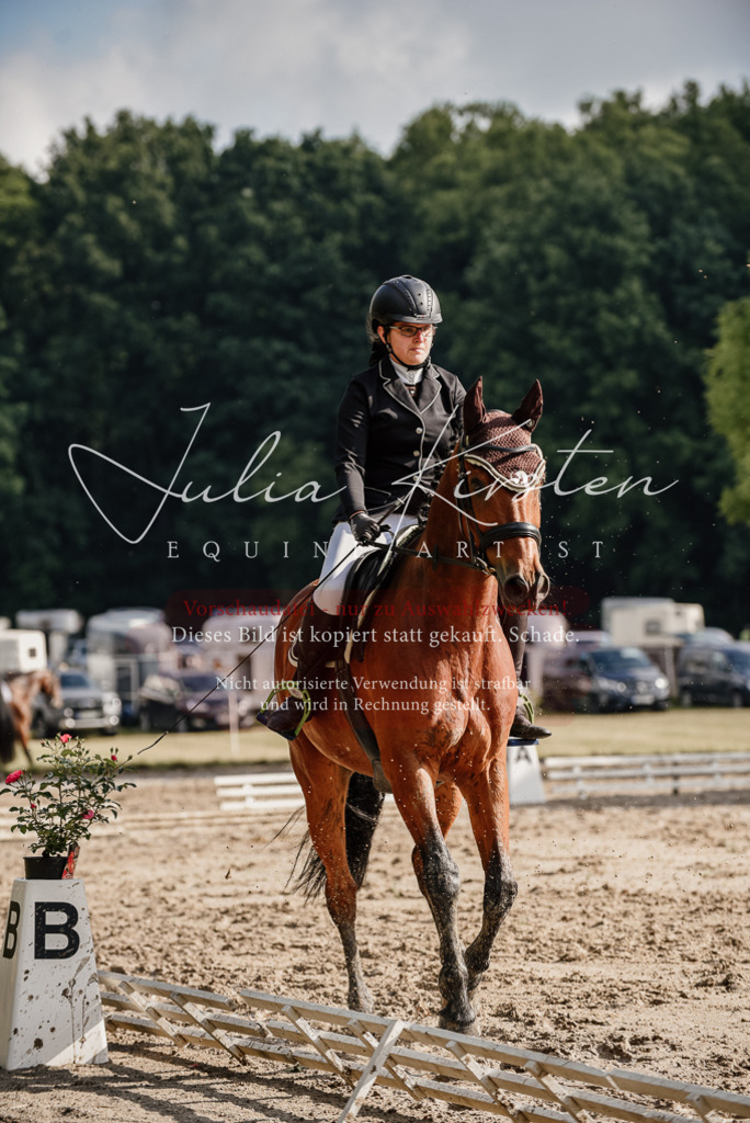 DSC_8529 | Pferde- und Turnierfotografie in Westsachsen. Pferdeportraits, Auftragszeichnungen und intuitive Kunst.