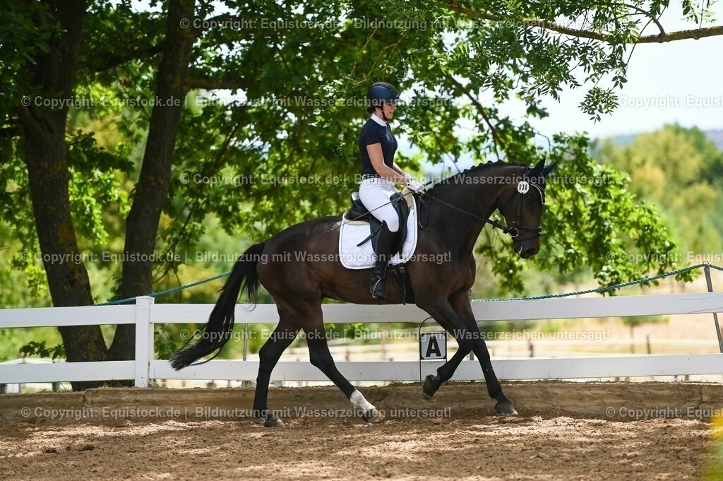 20230715_05_Dressurprüfung Kl.A++_0228 | equistock