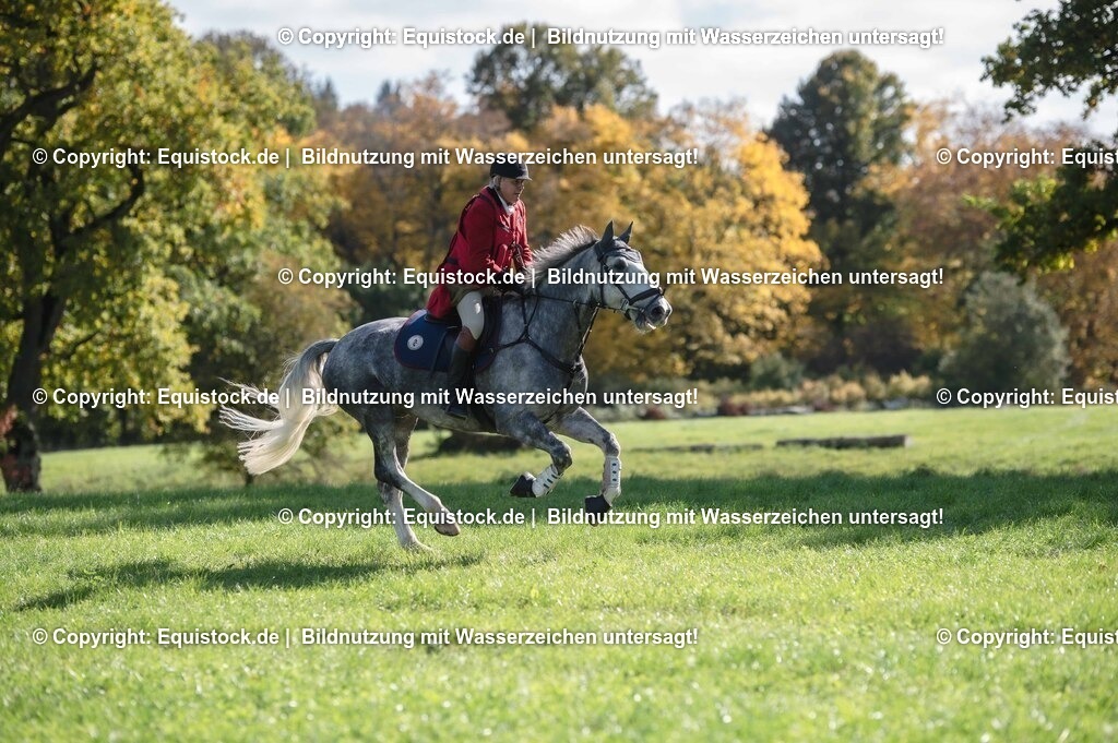 20251011_Jagd-Marbach_0409 | Foto: Thomas Hartig