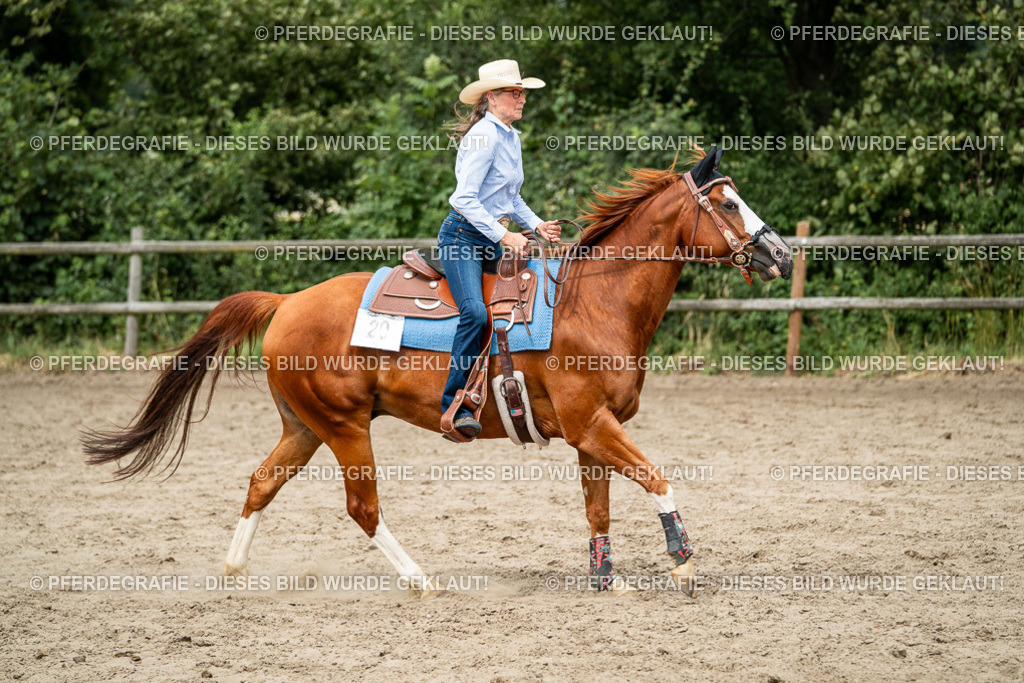 DSC02377 | Pferdegrafie