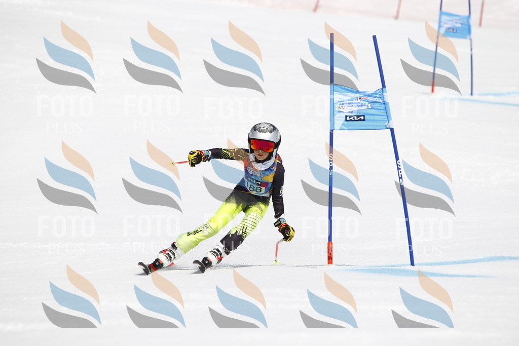 _U3G4924 | holidayphoto