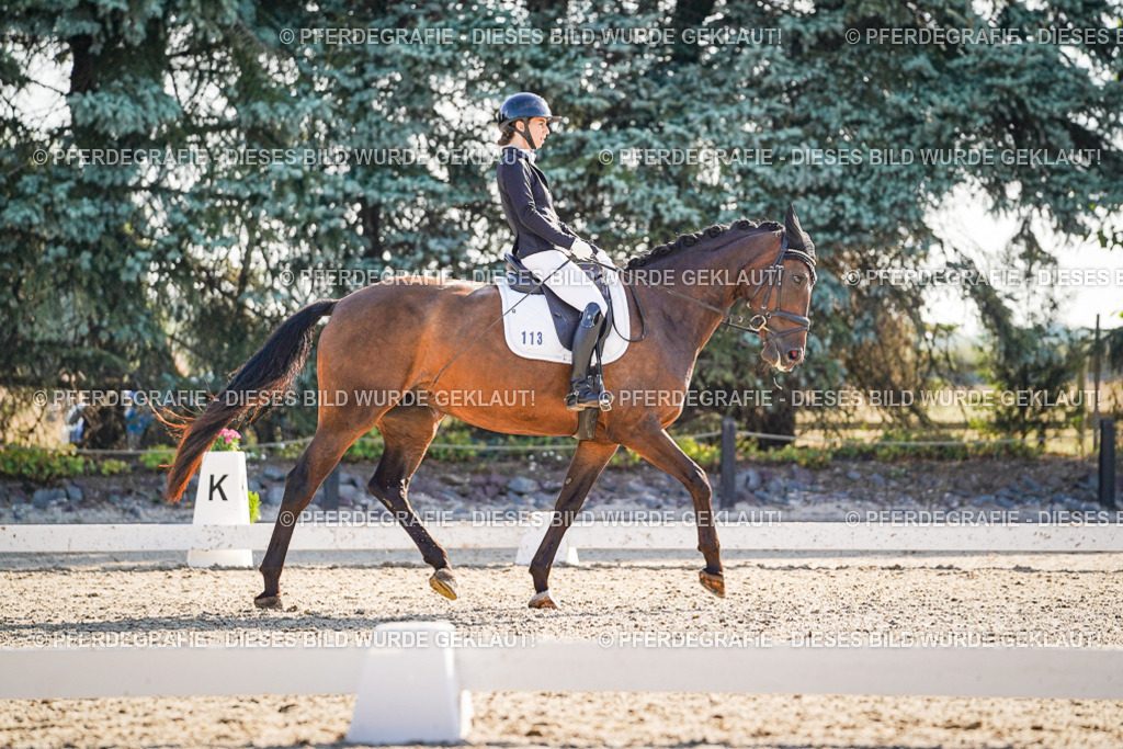 DSC09322 | Pferdegrafie