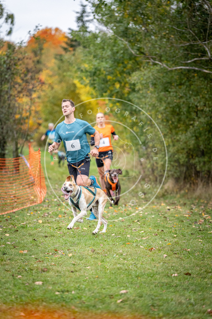 Pfotenfotografie_DV3A1676 | Hundefotografie, Tierfotograf, Pfotenfotografie, Fotoshooting Hund, Hunde Portrait, Hundesport, Hundeportraits, Heideshooting, Hunde, Sportfotograf, Hundefotograf, Turnierhundsport, THS,  - Realisiert mit Pictrs.com