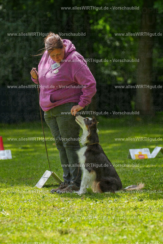 @allesWIRTHgut_Tierfotografie - www.allesWIRTHgut.de - 7R504861 | Professionelle Tierfotografie in Mönchengladbach von Daniel Wirth (allesWIRTHgut). Liebevolle & natürliche Bilder von Hunden & Katzen für unvergessliche Erinnerungen.