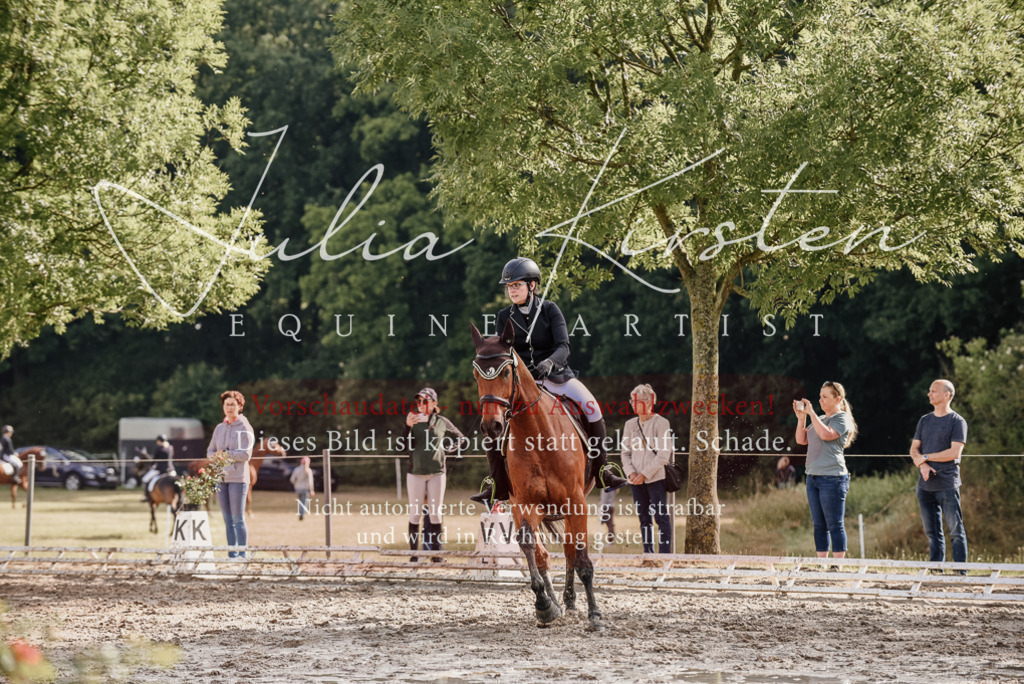 DSC_8501 | Pferde- und Turnierfotografie in Westsachsen. Pferdeportraits, Auftragszeichnungen und intuitive Kunst.