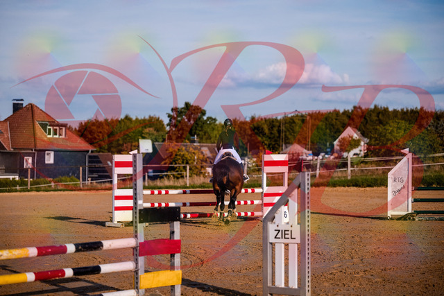 2026_10_03_Siefer-Hof_171039_Z81_07497888 | Professionelle Reitsport-, Turnier- und Eventfotografie von Robert Broda. Galerien mit ausgewählten und bearbeiteten Bildern direkt online ansehen und bestellen.