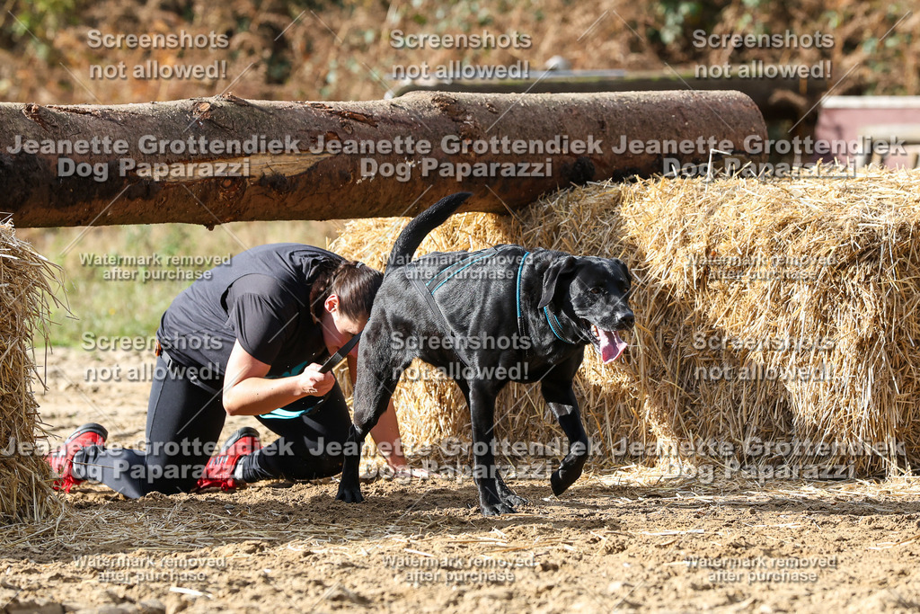 Dog Paparazzi - Strongdog 10-25-5066 | Dog Paparazzi Jeanette Grottendiek Fotografie & Videografie - Realisiert mit Pictrs.com