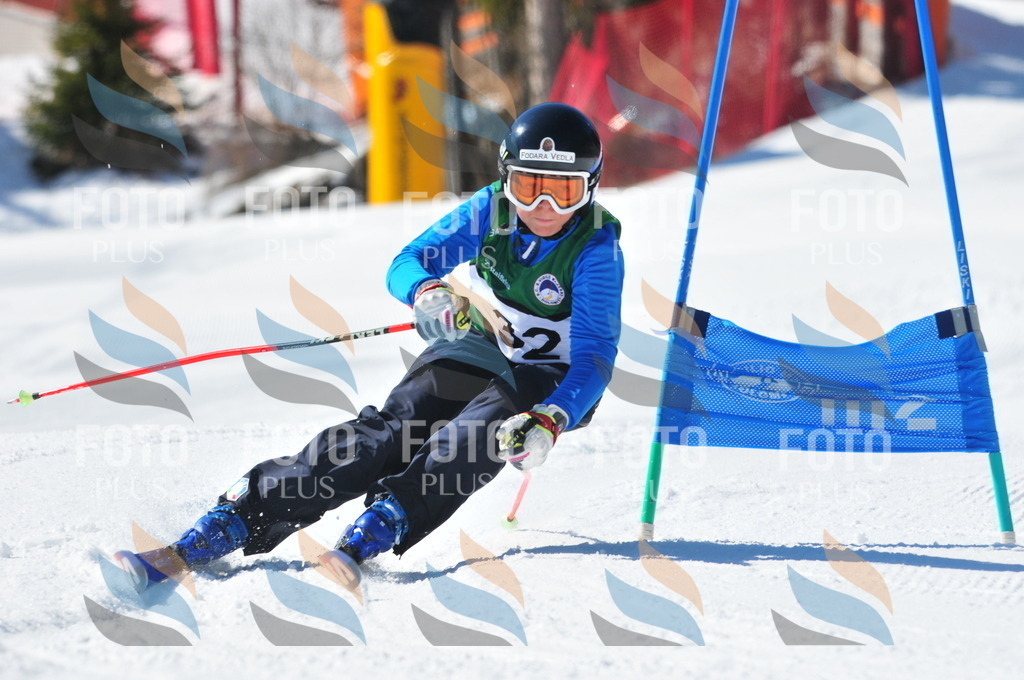 C3537 | holidayphoto