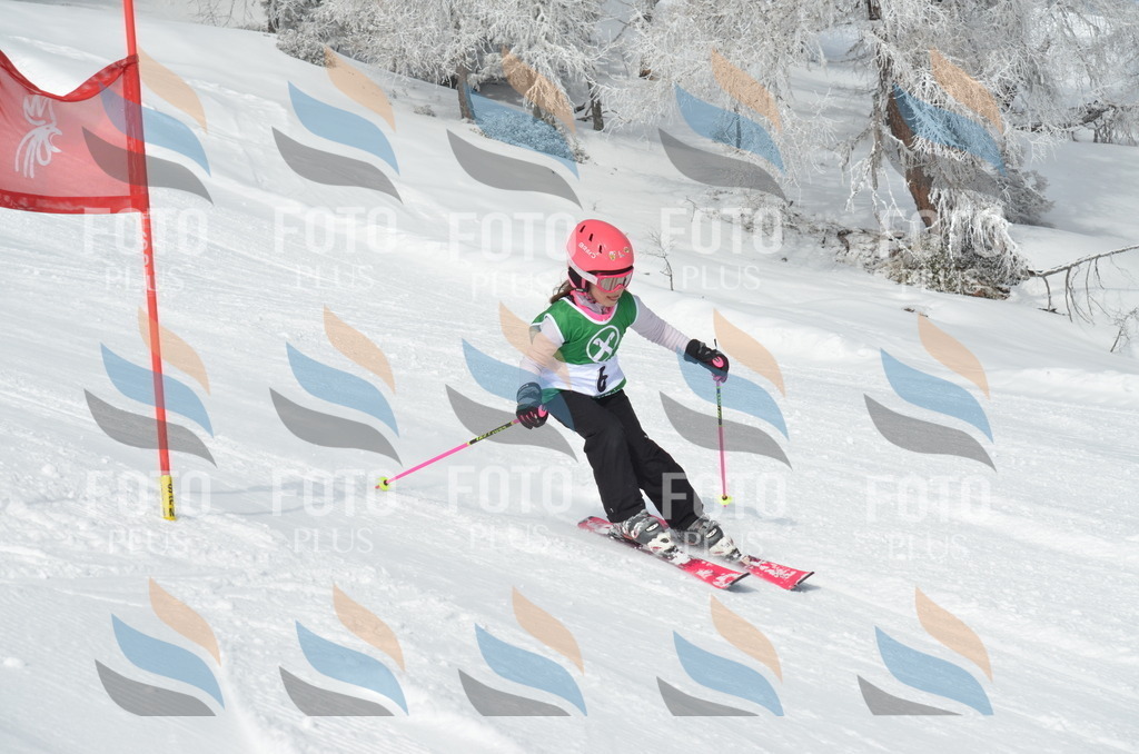 D8487 | holidayphoto