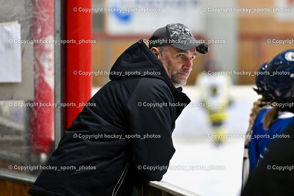 Wildcats Paternion vs. Lady Hawks  | Headcoach LADY HAWKS London Anthony, Wildcats Paternion vs. Lady Hawks , Wildcats Paternion vs. Lady Hawks  am 27.01.2025 in Spittal an der Drau (Eissportzentrum Spittal), Austria, (Photo by Bernd Stefan)