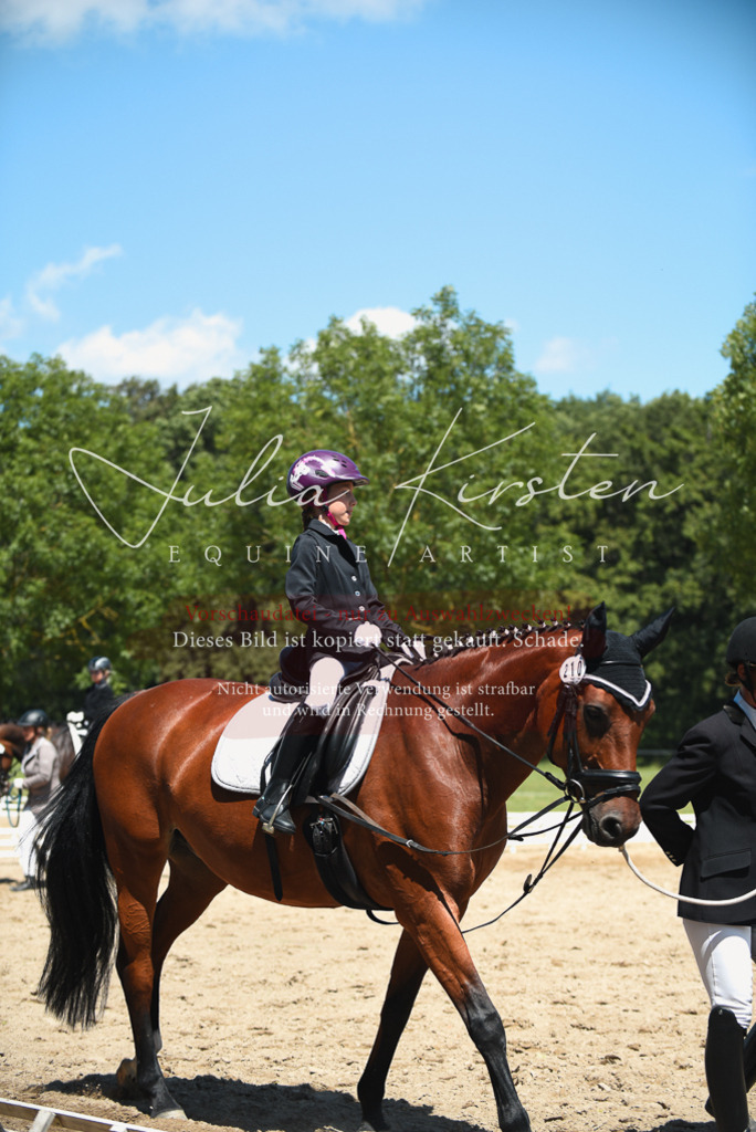 DSC_1762 | Pferde- und Turnierfotografie in Westsachsen. Pferdeportraits, Auftragszeichnungen und intuitive Kunst.