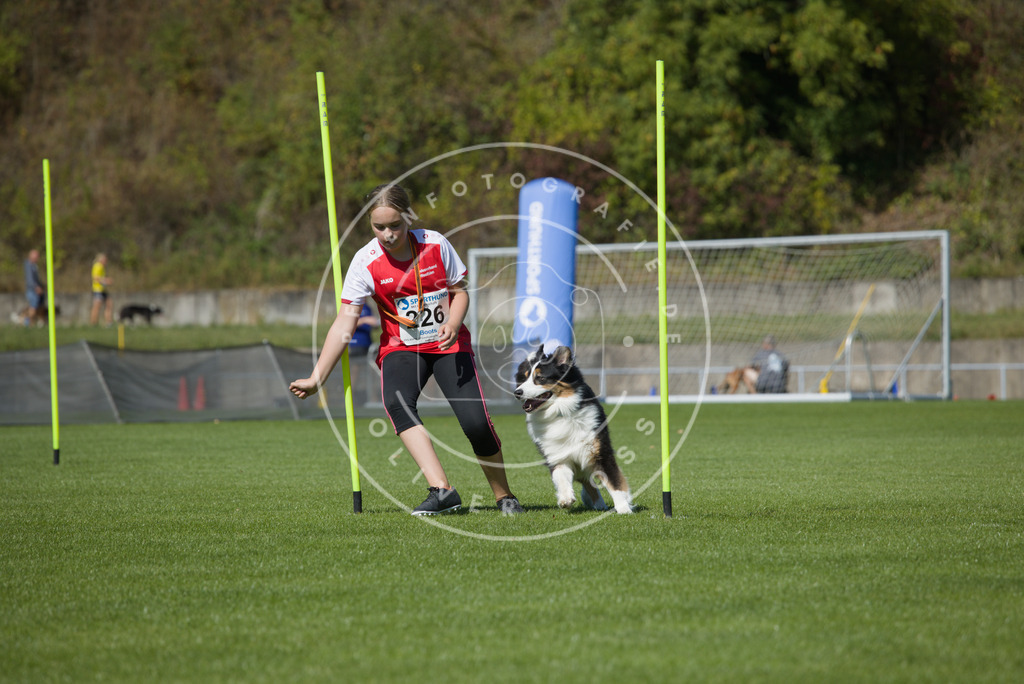 0L8A6028 | Hundefotografie, Tierfotograf, Pfotenfotografie, Fotoshooting Hund, Hunde Portrait, Hundesport, Hundeportraits, Heideshooting, Hunde, Sportfotograf, Hundefotograf, Turnierhundsport, THS,  - Realisiert mit Pictrs.com