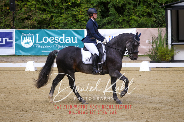 DKP40843 | Turniersportfotografie; Pferdefotografie; Dressurfotografie