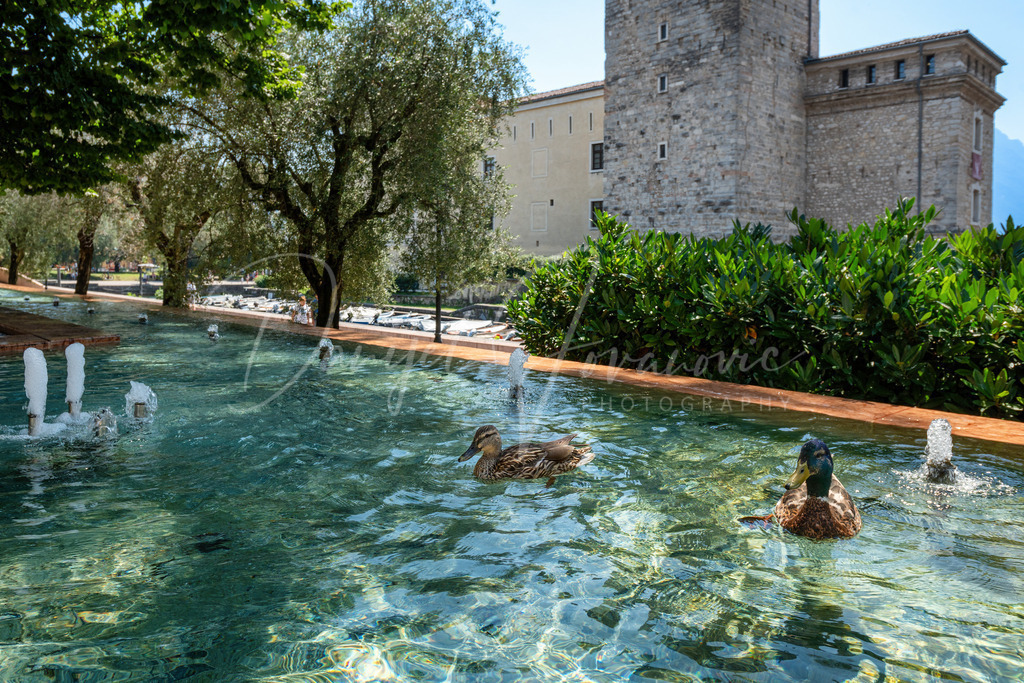 Riva del Garda | Das schöne Riva im Norden des Gardasees
