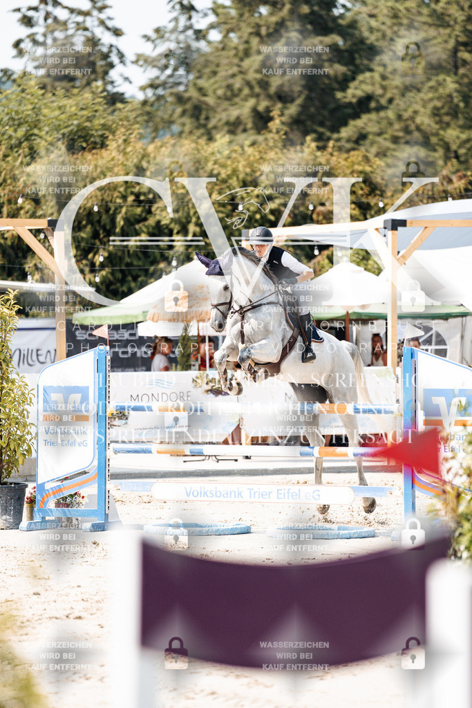 CK901611 | Turnierfotografie Pferdefotografie Trier Rheinland-Pfalz Pferdesport Reitsport Tierfotografie Sportfotografie Pferdevideo Pferdevideografie Equestrianvideography equestrianphotography  - Realisiert mit Pictrs.com